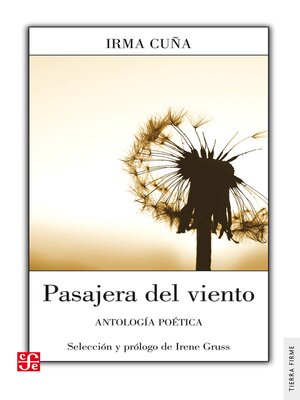 cover image of Pasajera del viento